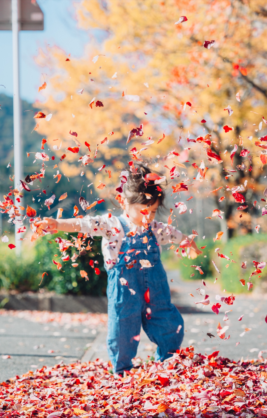 舞い上がる紅葉の落ち葉のなかであそぶこども