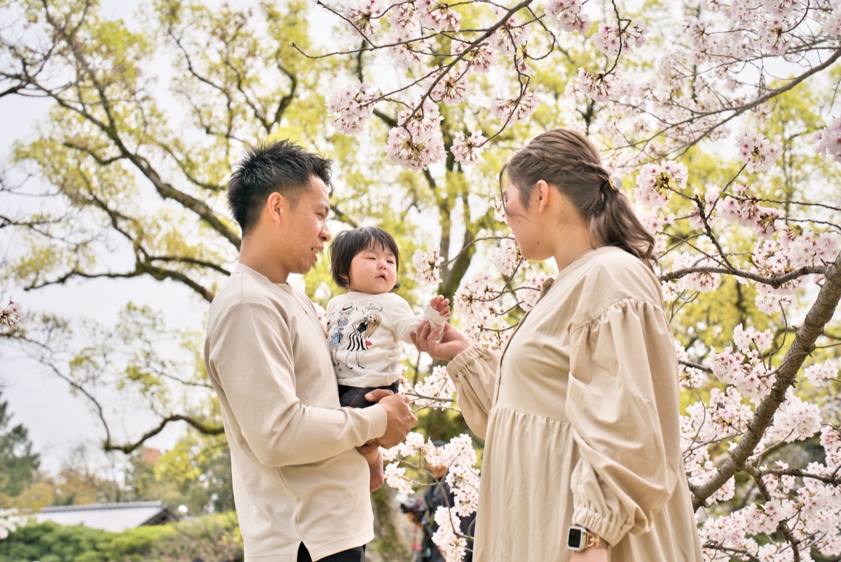 満開の桜の下で、お父さんに抱かれた赤ちゃんの手をお母さんがそっと握る家族写真